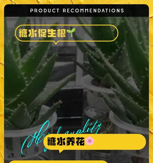 用什么水浇花最适宜？自来水可以吗？