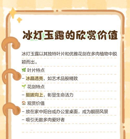 冰灯玉露有什么用？冰灯玉露的养护和用途是什么？