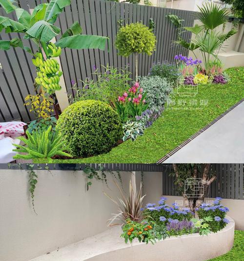 花坛植物有哪些品种？花坛品种选择的常见问题是什么？