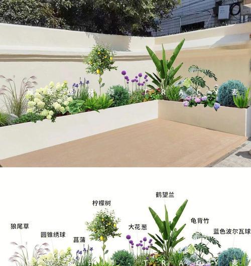 花坛植物有哪些品种？花坛品种选择的常见问题是什么？