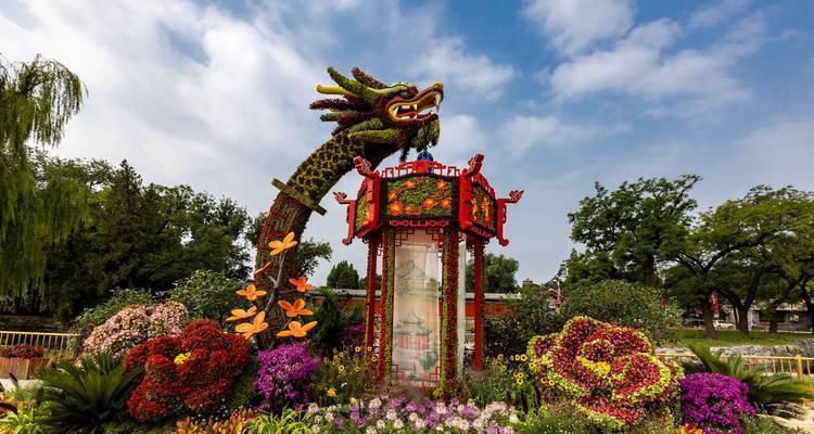花坛植物有哪些品种？花坛品种选择的常见问题是什么？