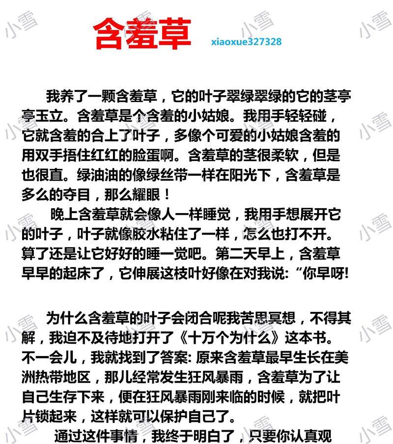 含羞草的种植技巧是什么？如何让含羞草的反应更灵敏？