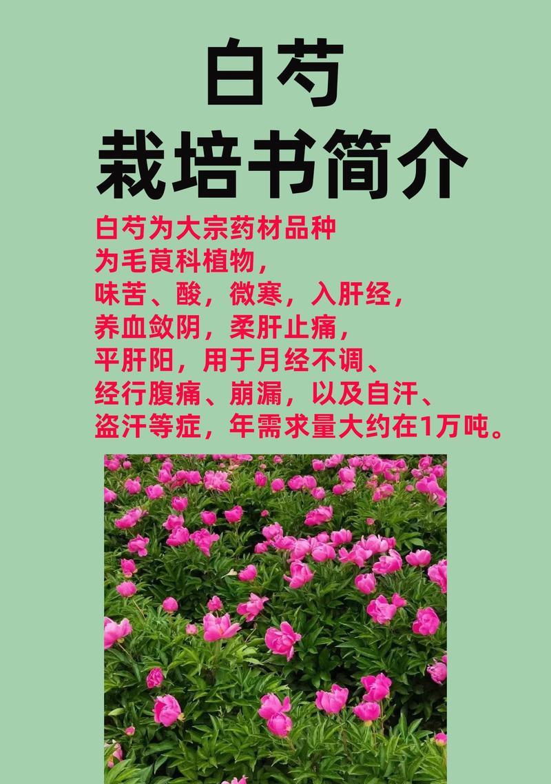 花土的成分和作用是什么？如何选择适合不同植物的花土？