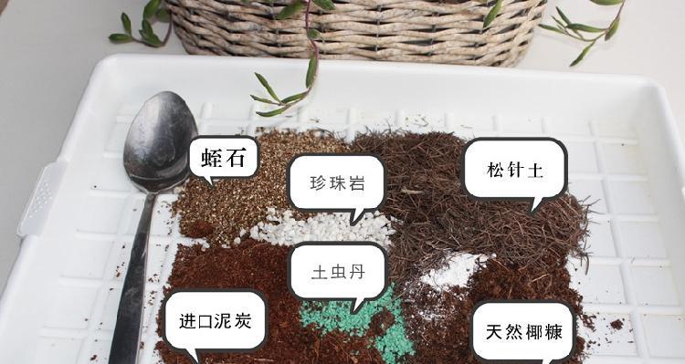 花土的成分和作用是什么？如何选择适合不同植物的花土？