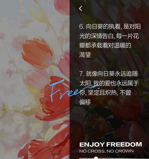 向日葵代表什么？向日葵花语及其在文化中的意义是什么？