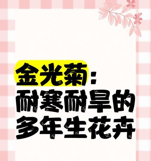 金光菊品种特性？如何种植？
