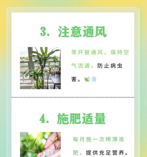 龙眼树叶子黄化如何处理？