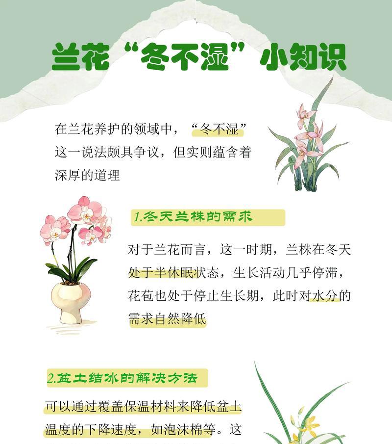 秋天兰花的养殖注意事项是什么？