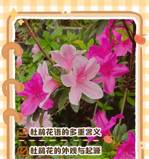 虹之玉化水后如何抢救？
