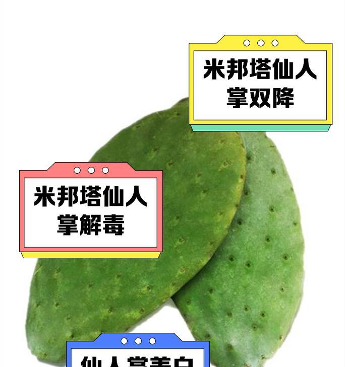 米邦塔仙人掌养殖方法是什么？