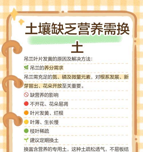 吊兰叶子发黄？可能的原因及解决方法？